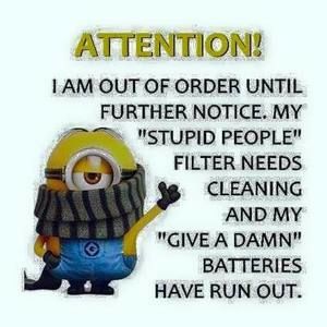 Meet your Posher, Alva